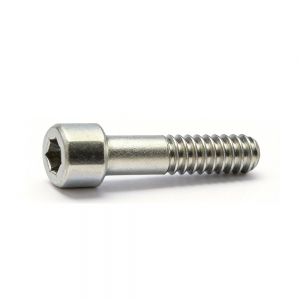 E17295210,SCREW,SHCS,4-40, MOLY, Varian VIISta HCS 